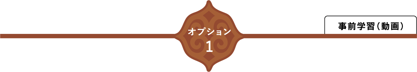 オプション1 事前学習（動画）