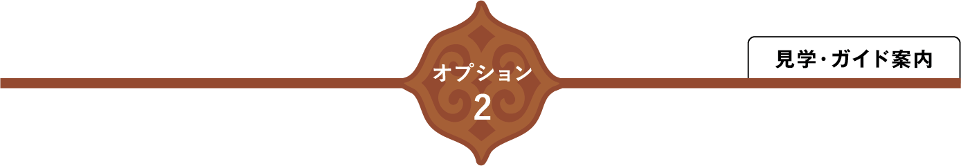 オプション1 事前学習（動画）