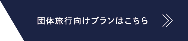 団体旅行向けプランはこちら