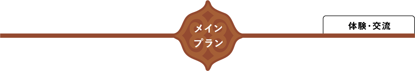 メインプラン 体験・交流